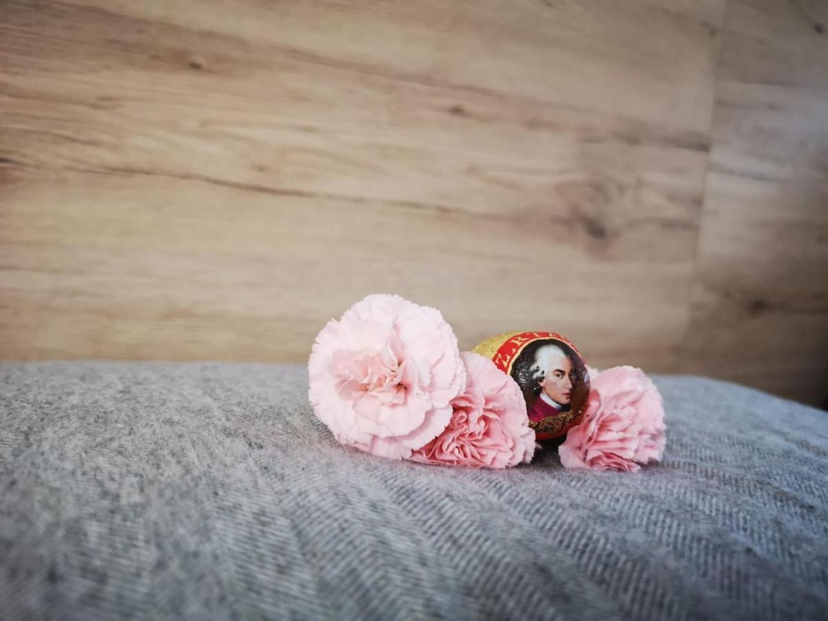 Appartement Mit Doppelbett Oder 2 Einzelbetten บาดเอาส์ซี ภายนอก รูปภาพ